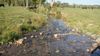 16416 Blue Springs Rd photo
